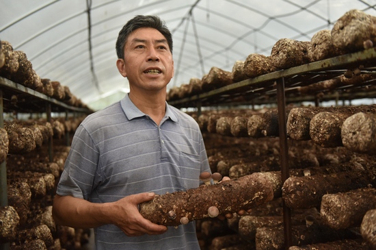 河口镇梅江村村民张文柳拥有2个食用菌大棚,生活过得有滋有味。